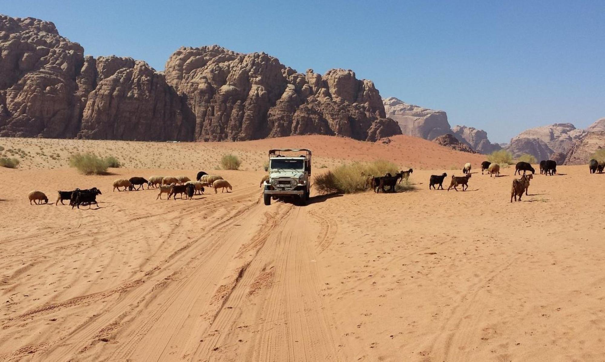 Authentic Bedouin Camp Wadi Rum Exterior photo